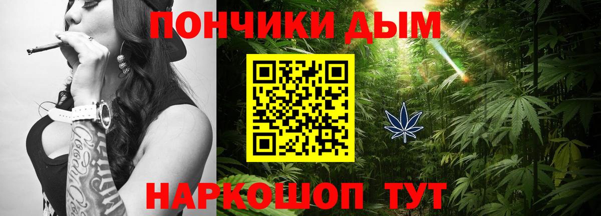 Псилоцибиновые грибы Обь